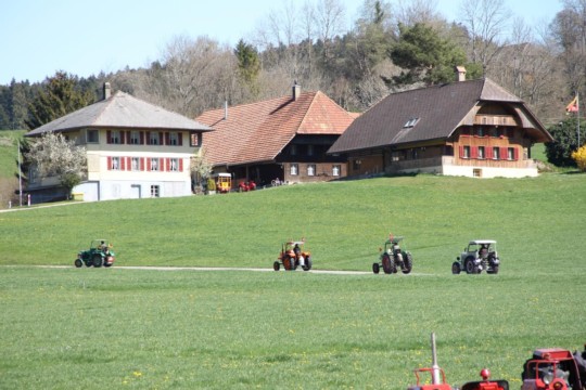IMG_4277
