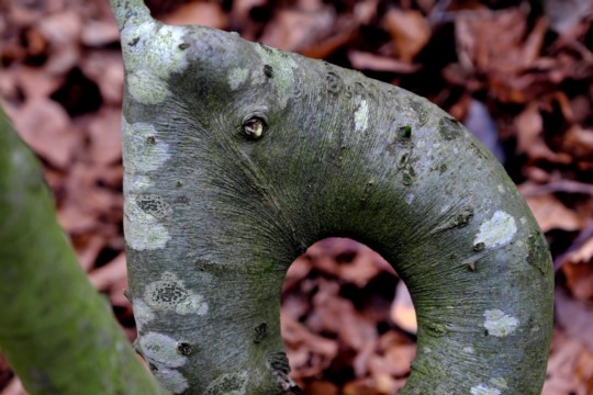 Unbenannt-1