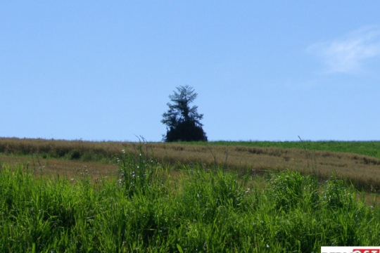 abb32df321c5f4a5897c67e106f76283.jpg
