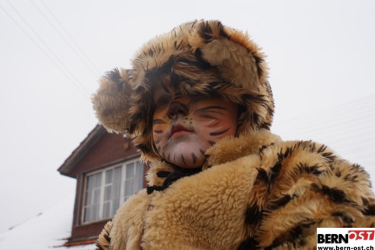 abf60a09772ae3a1c7a398a1686de768.jpg