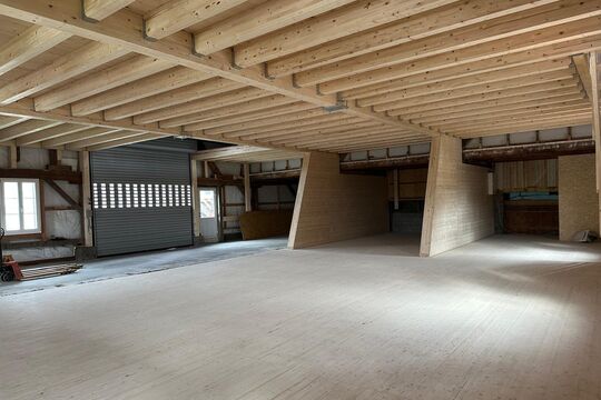 WhatsApp Bild 2025-10-21 um 16.11.17_20beac1b.jpg