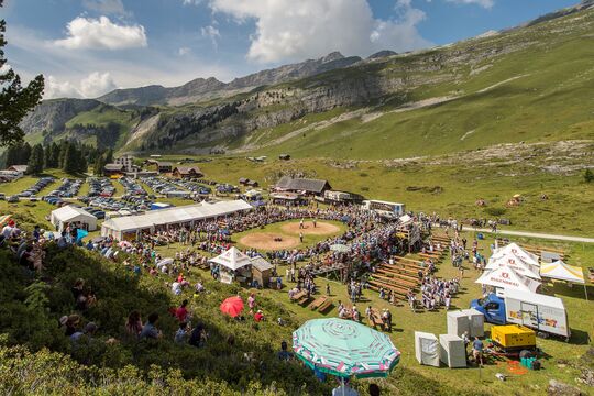 Bild Vier Regionale auf der Engstlenalp