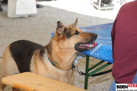 acc78f5093972476eb3101ad910afd4a.jpg