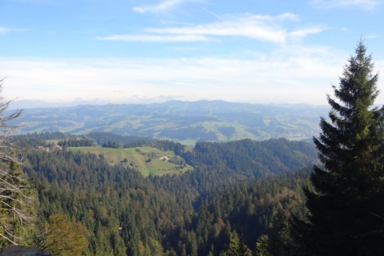 Signau-Signau (2)
