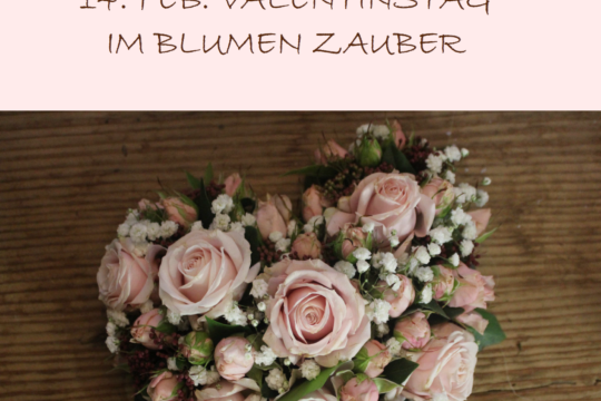 Valentinstag 2019.png