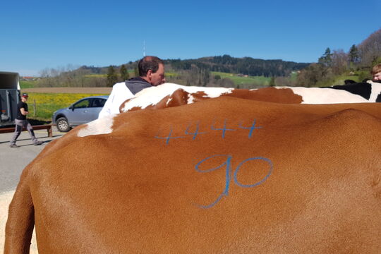 20240412_114539 - Kopie.jpg