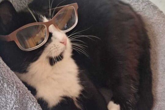 WhatsApp Bild 2025-05-12 um 14.51.01_9d5a5c4d