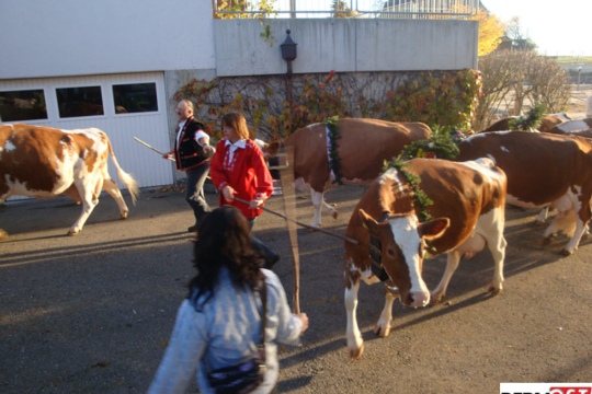 ada55ad1a9785e292cf616a1e61266a1.jpg