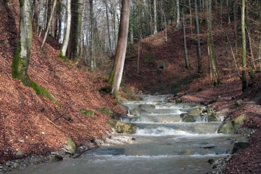 richigengraben_bach1