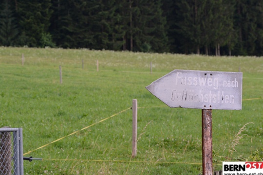 ade23e10f8ec84153063bb6f0ecebc27.jpg