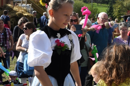 ae091a6b7adfc6df4e73e6eb2595375e.jpg