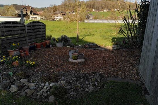 WhatsApp Image 2025-11-17 at 10.35.25.jpeg