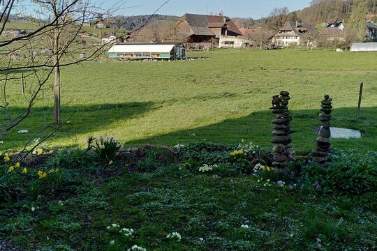 WhatsApp Image 2025-11-17 at 10.35.26 (2).jpeg