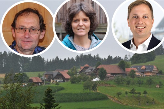 Oberthal Ruecktritte-High-Quality