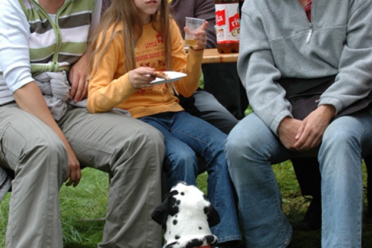 afd04ee121ba2d4b51e0b4cc4d265dd4.jpg