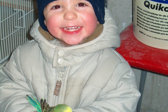 afe3e23e8a8ed7c5ad354277d2168a98.jpg
