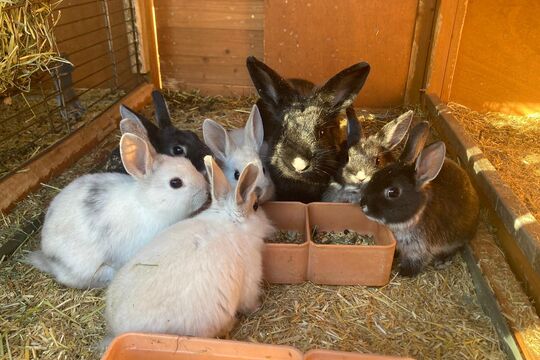 klein alle schön.jpeg