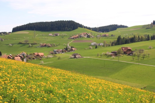 Bild-1711
