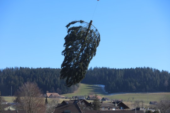 6O7A6698