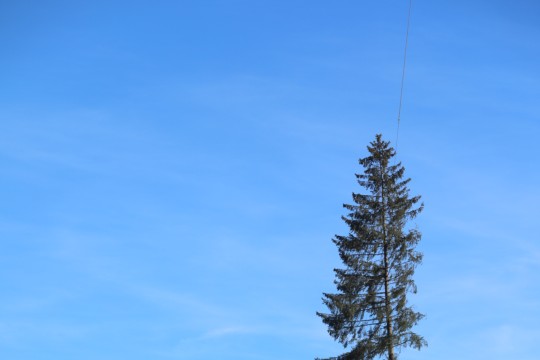 6O7A6737
