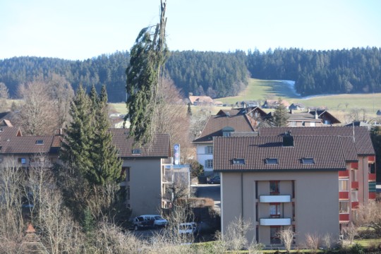 6O7A6738