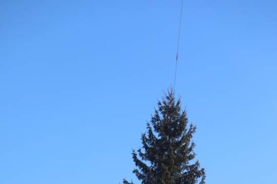 6O7A6744