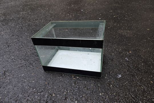20260609_095340.jpg