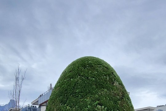 20240126_114951.jpg