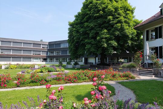 20250611_Rosen_Pflegehaus_quer.jpg