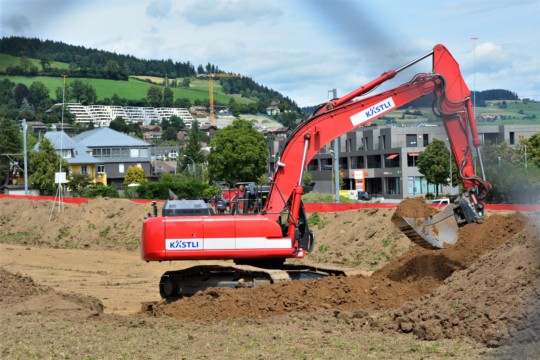 Bagger Küde
