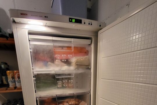 20250502_181141.jpg