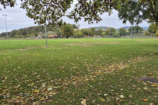 Bild Wie viel Sportplatz soll dem Wohnen weichen?