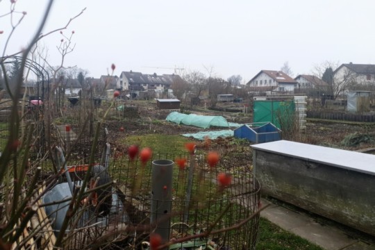 bild1