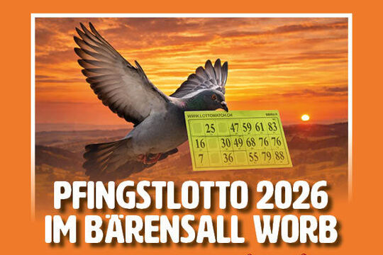 Bild Pfingstsamstag: 18 G&auml;nger Spezial-Lotto im B&auml;rensaal