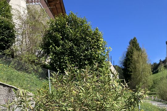 IMG_2430.jpeg