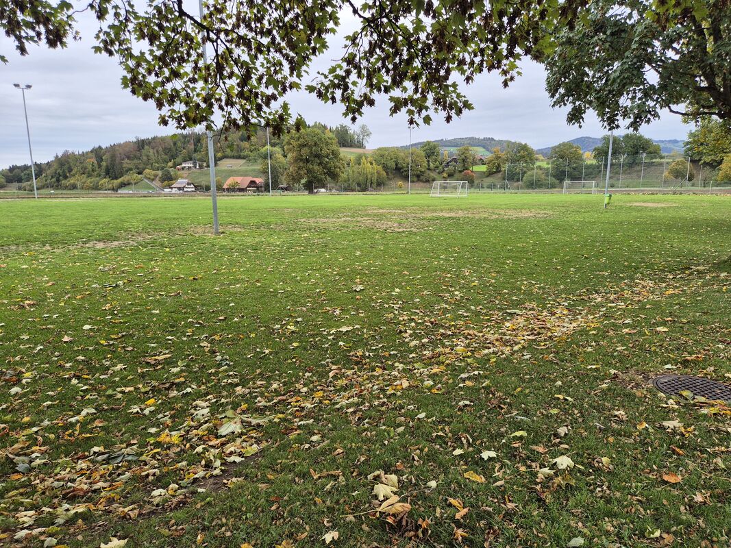 image 1007096