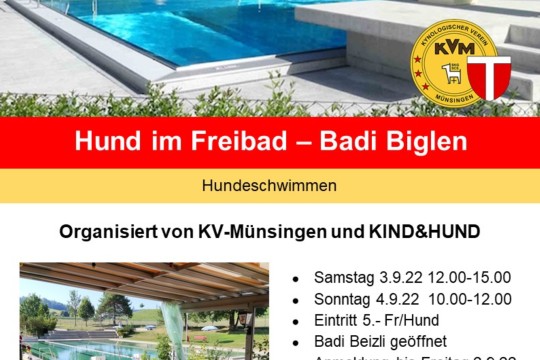kvm-kuh-flyer-hund im Freibad.jpg