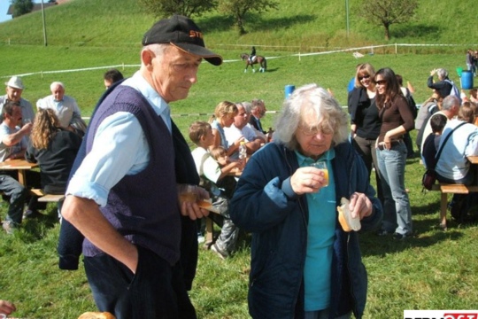 b6e51c1f3ddf0e1d389c552032ad90de.jpg