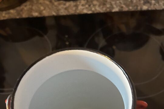 IMG_4151.jpeg