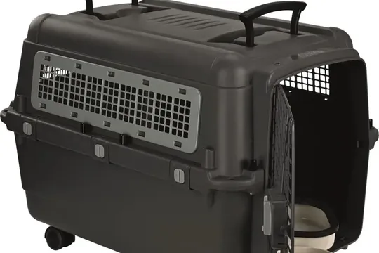 Transport Box L-XL.webp