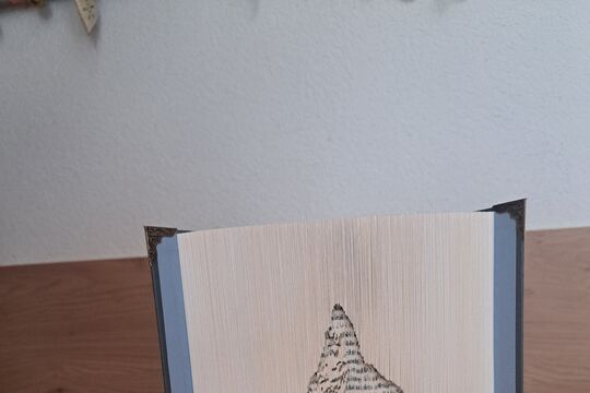 1000148364.jpg