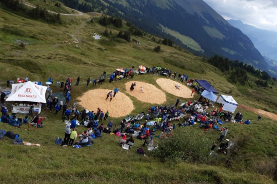 scheidegg