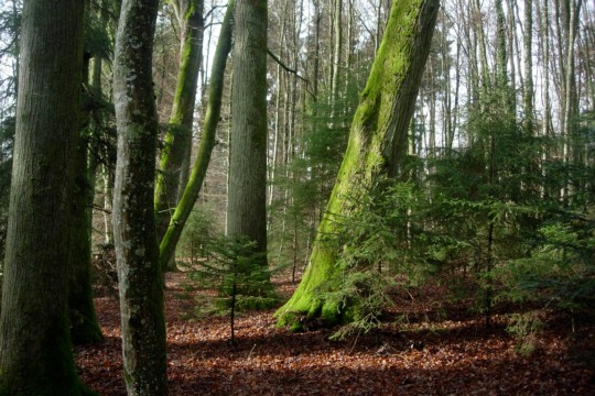 DSCN2885.jpg