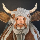 Profil Bild