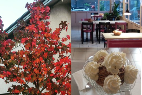 Collage Herbst 2020.jpg