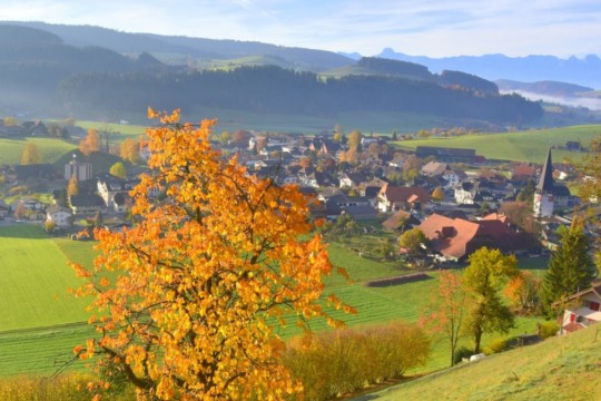 Zäziwil Herbst_zaeziwil.ch