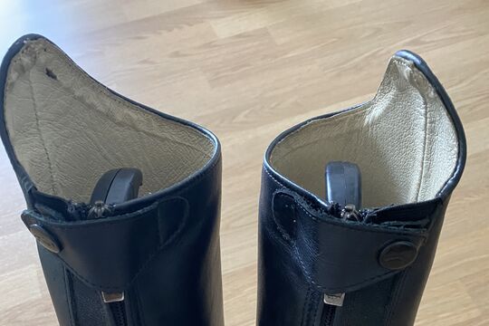 IMG_4737.jpeg