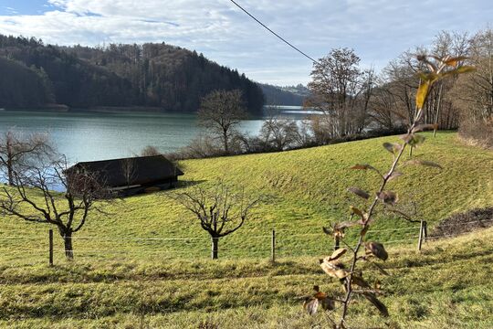 Bild Schneegl&ouml;ckchen und Biber am Wohlensee