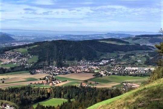 Oberdiessbach Falken