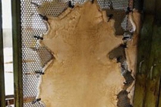 bb541748af0004d2a45edbe22a8d34c0.jpg